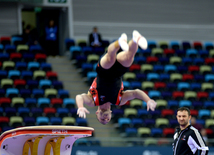 Bakıda idman gimnastikası üzrə Dünya Kuboku yarışlarının ikinci günü start götürüb. Azərbaycan, 20 fevral, 2016